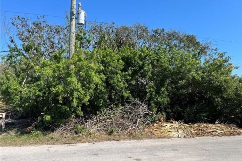 Terreno en venta en Flagler Beach, Florida № 1528920 - foto 5