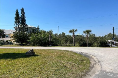 Terreno en venta en Flagler Beach, Florida № 1528920 - foto 8
