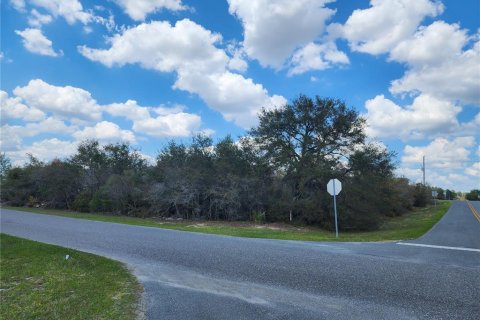 Terreno en Ocala, Florida № 2097135