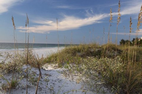 Condo in Indian Shores, Florida, 2 bedrooms  № 1538355 - photo 24