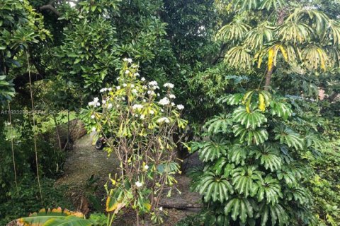 Villa ou maison à louer à Miami, Floride: 1 chambre, 65.03 m2 № 1991341 - photo 17