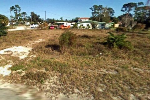 Terrain à vendre à Punta Gorda, Floride № 2207101 - photo 4