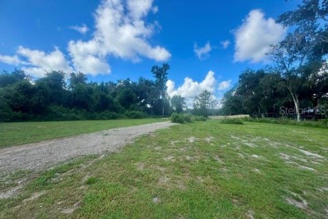 Land in Inverness, Florida № 2373991 - photo 2