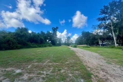 Land in Inverness, Florida № 2373991 - photo 3