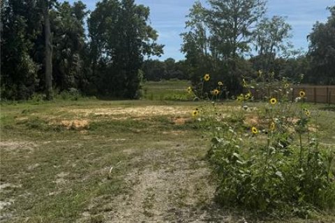 Land in Inverness, Florida № 2373991 - photo 14