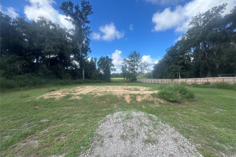 Land in Inverness, Florida № 2373991 - photo 4