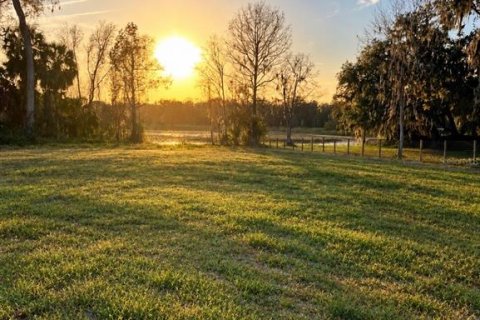 Land in Inverness, Florida № 2373991