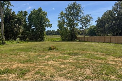 Land in Inverness, Florida № 2373991 - photo 9