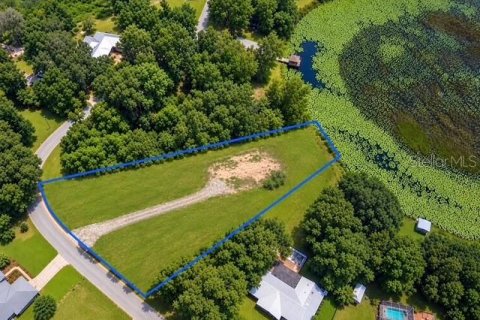 Land in Inverness, Florida № 2373991 - photo 18