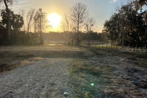 Land in Inverness, Florida № 2373991 - photo 16
