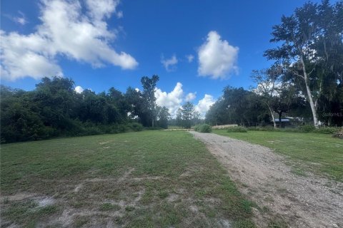 Land in Inverness, Florida № 2373991 - photo 7