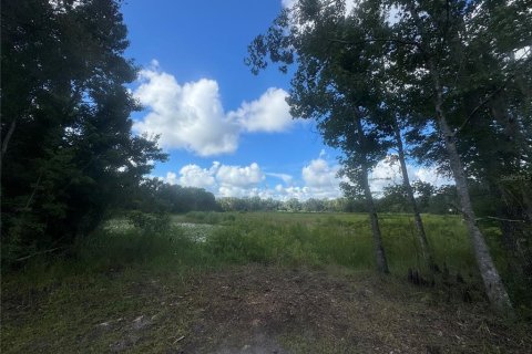 Land in Inverness, Florida № 2373991 - photo 8