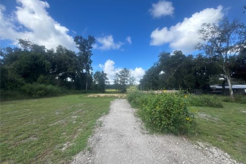 Land in Inverness, Florida № 2373991 - photo 6