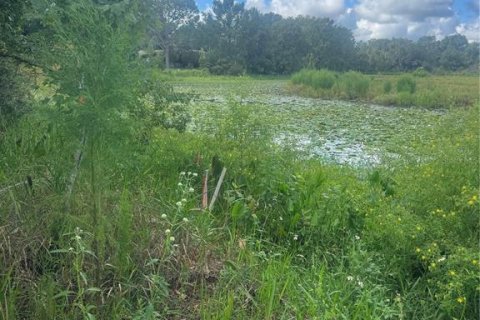 Land in Inverness, Florida № 2373991 - photo 11