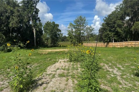 Land in Inverness, Florida № 2373991 - photo 12
