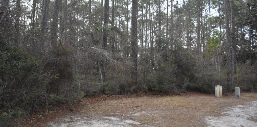 Land in Freeport, Florida № 590281
