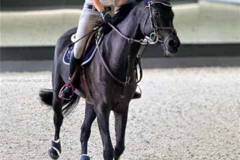 House in Davie, Florida 8 bedrooms, 592.72 sq.m. № 1927961 - photo 10