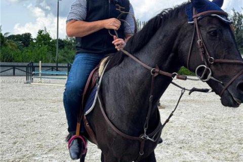 House in Davie, Florida 8 bedrooms, 592.72 sq.m. № 1927961 - photo 5