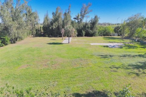 Land in Punta Gorda, Florida № 1512678 - photo 9