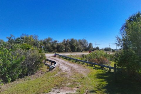 Land in Punta Gorda, Florida № 1512678 - photo 18