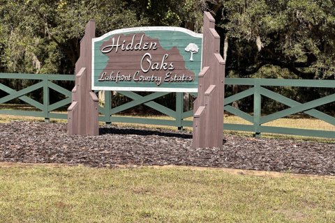 Land in Umatilla, Florida № 765884 - photo 1