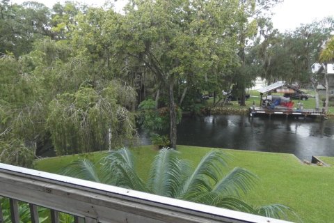 Villa ou maison à vendre à Weeki Wachee, Floride: 3 chambres, 178.37 m2 № 1919074 - photo 25