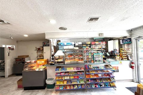 Commercial property in Dade City, Florida 118.17 sq.m. № 1609204 - photo 10