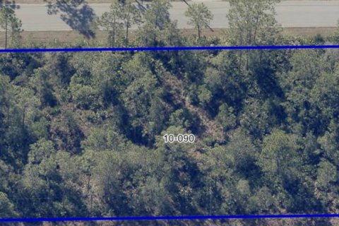 Terrain à vendre à Orlando, Floride № 1789747 - photo 2