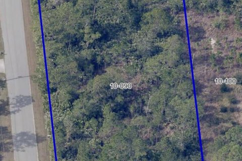 Terrain à vendre à Orlando, Floride № 1789747 - photo 3