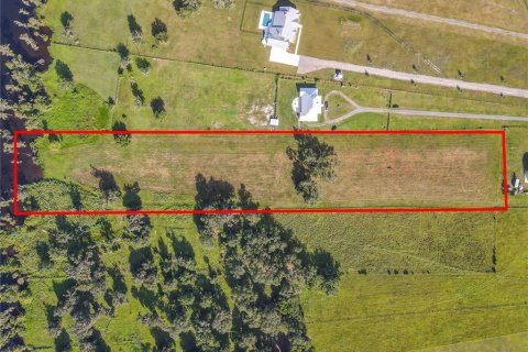 Land in Bunnell, Florida № 1827665 - photo 8
