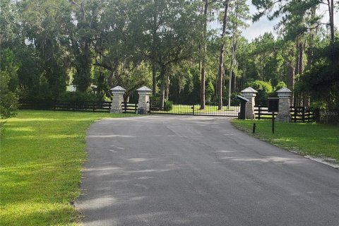 Land in Bunnell, Florida № 1827665 - photo 22