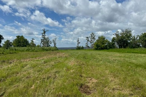 Land in Bunnell, Florida № 1827665 - photo 20