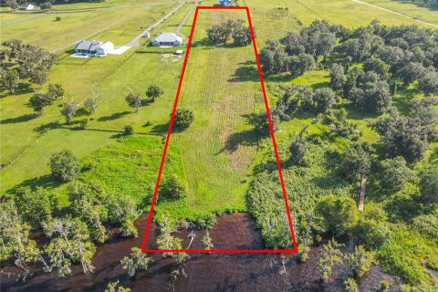Land in Bunnell, Florida № 1827665 - photo 13