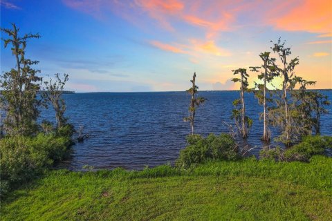 Land in Bunnell, Florida № 1827665 - photo 2