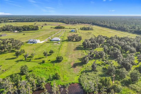 Land in Bunnell, Florida № 1827665 - photo 10