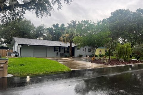 Villa ou maison à vendre à Umatilla, Floride: 2 chambres, 169.55 m2 № 1835185 - photo 3