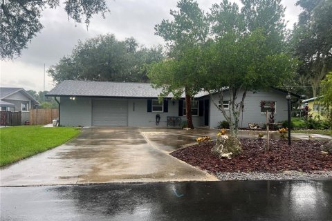 Villa ou maison à vendre à Umatilla, Floride: 2 chambres, 169.55 m2 № 1835185 - photo 1