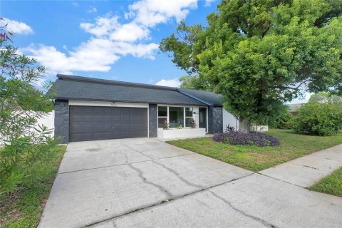 Villa ou maison à Port Richey, Floride 3 chambres, 174.19 m2 № 2423810