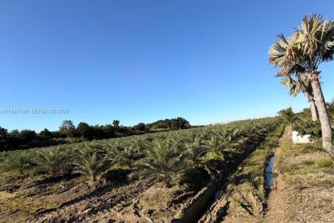 Commercial property in Miami-Dade, Florida № 2003303 - photo 12