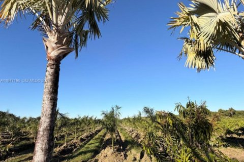 Commercial property in Miami-Dade, Florida № 2003303 - photo 9