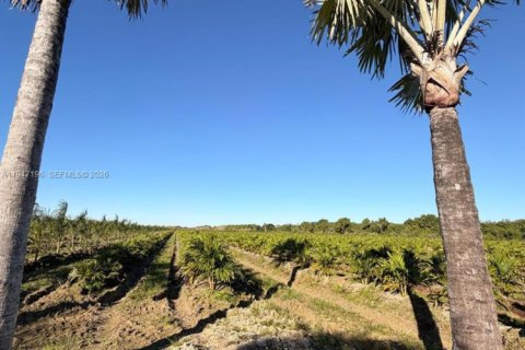 Commercial property in Miami-Dade, Florida № 2003303 - photo 7