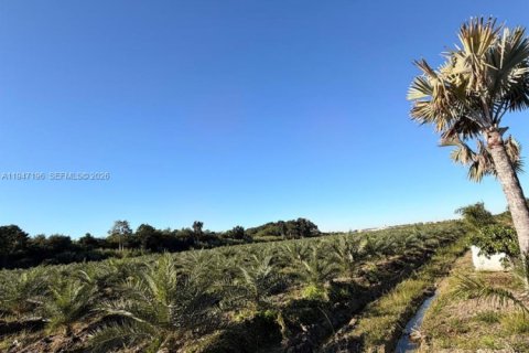 Commercial property in Miami-Dade, Florida № 2003303 - photo 11