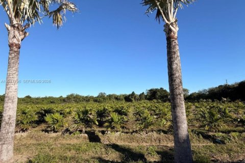 Commercial property in Miami-Dade, Florida № 2003303 - photo 6