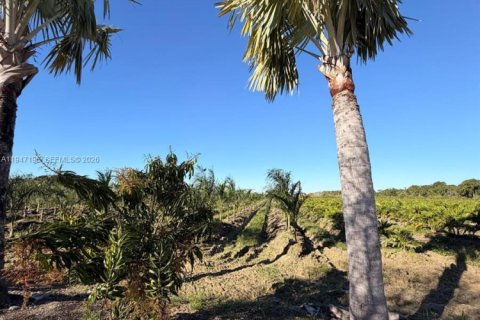 Commercial property in Miami-Dade, Florida № 2003303 - photo 16