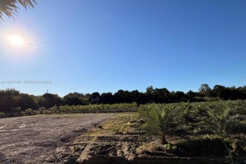 Commercial property in Miami-Dade, Florida № 2003303 - photo 10