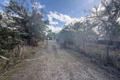 Land in Parrish, Florida № 2232917 - photo 12