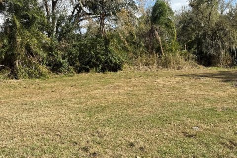 Land in Parrish, Florida № 2232917 - photo 10