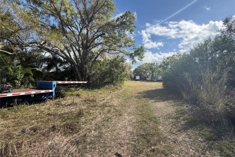 Land in Parrish, Florida № 2232917 - photo 9