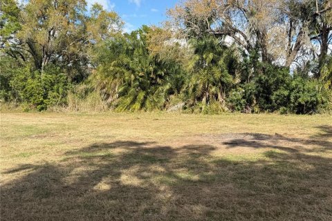 Land in Parrish, Florida № 2232917 - photo 7