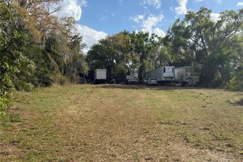 Land in Parrish, Florida № 2232917 - photo 11